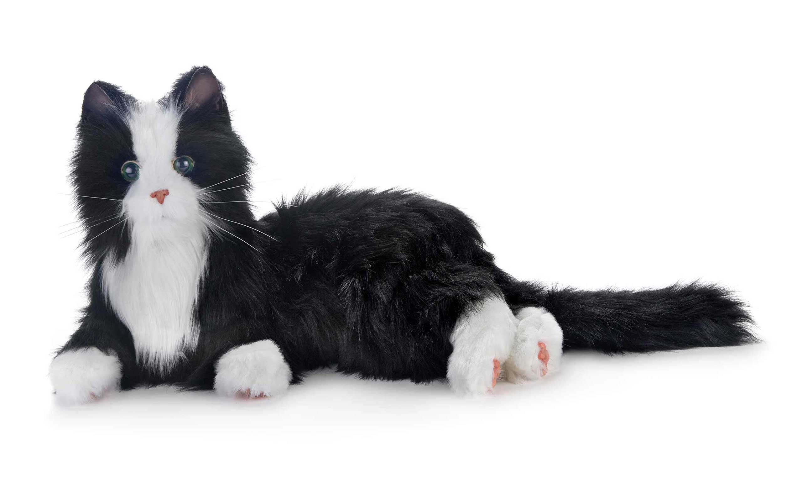 Joy For All. Interaktive Roboter-Katze für Senioren und Menschen mit Demenz - Image 14