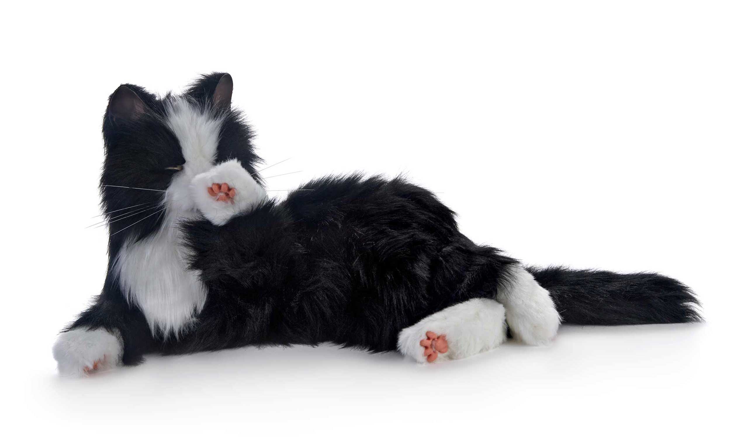 Joy For All. Interaktive Roboter-Katze für Senioren und Menschen mit Demenz - Image 15