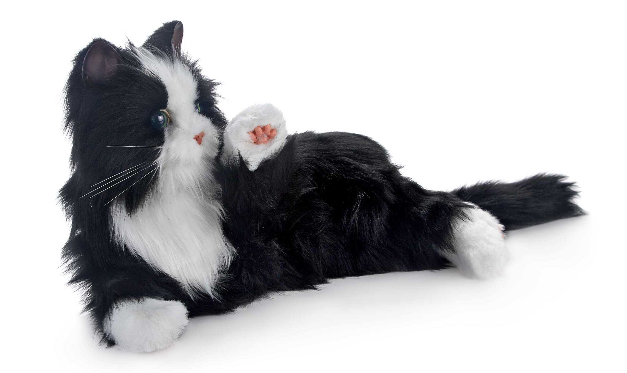 Joy For All. Interaktive Roboter-Katze für Senioren und Menschen mit Demenz - Image 16