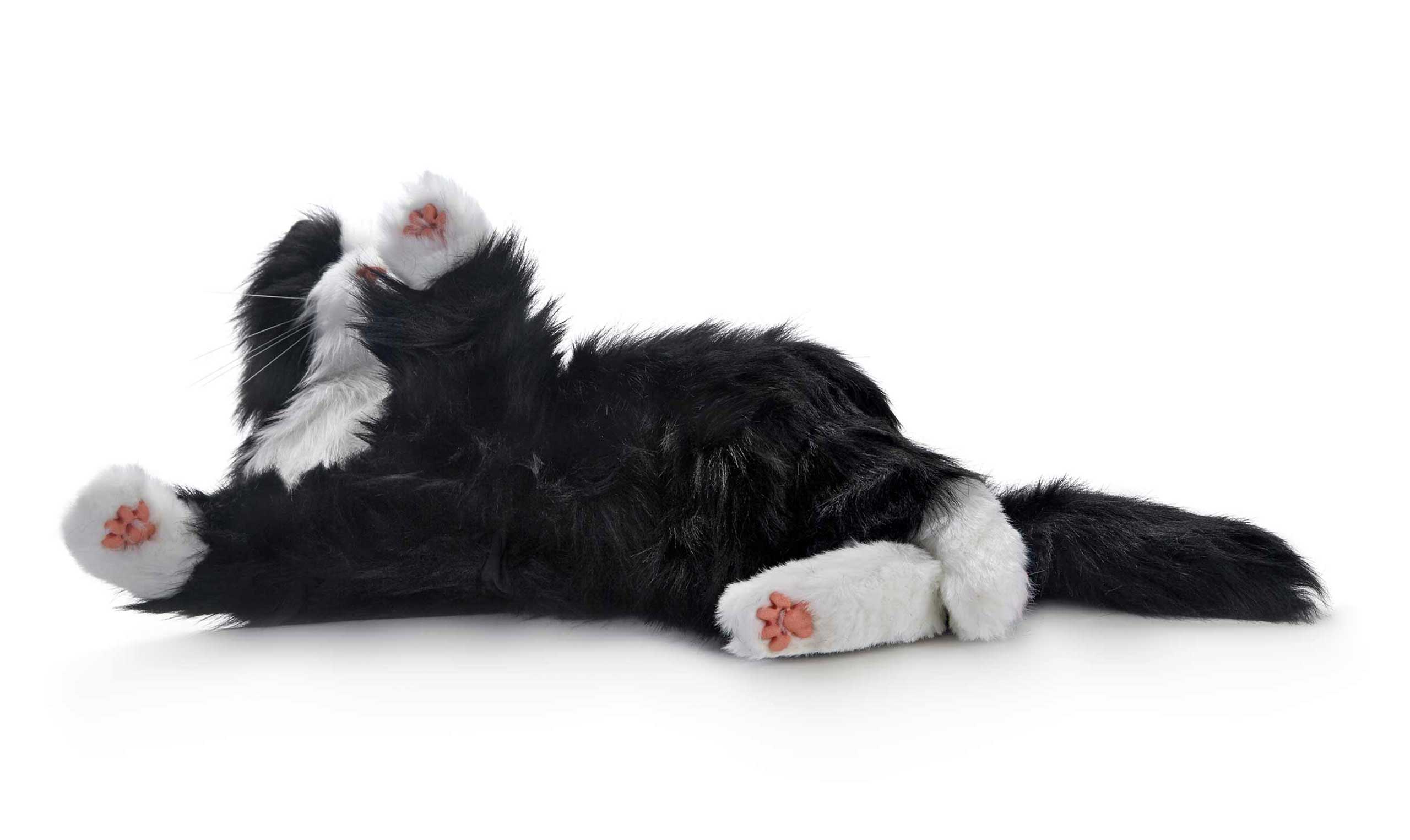 Joy For All. Interaktive Roboter-Katze für Senioren und Menschen mit Demenz - Image 17