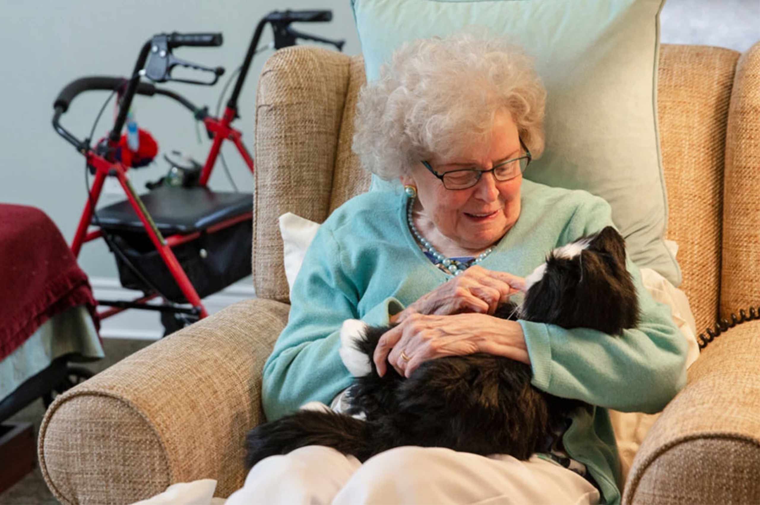 Joy For All. Interaktive Roboter-Katze für Senioren und Menschen mit Demenz - Image 19