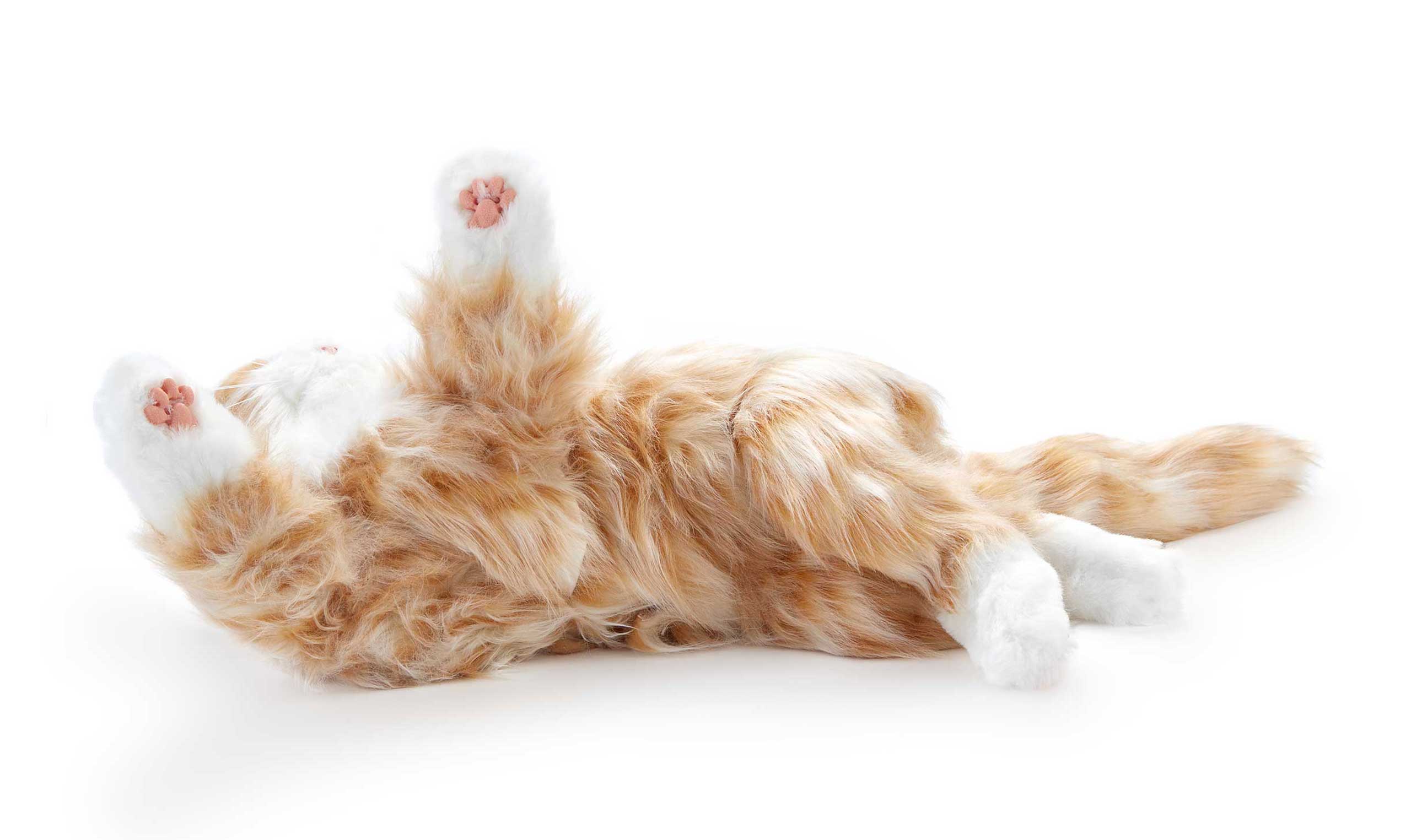 Joy For All. Interaktive Roboter-Katze für Senioren und Menschen mit Demenz - Image 4