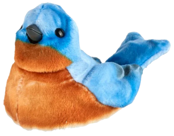 Vorschaubild 1