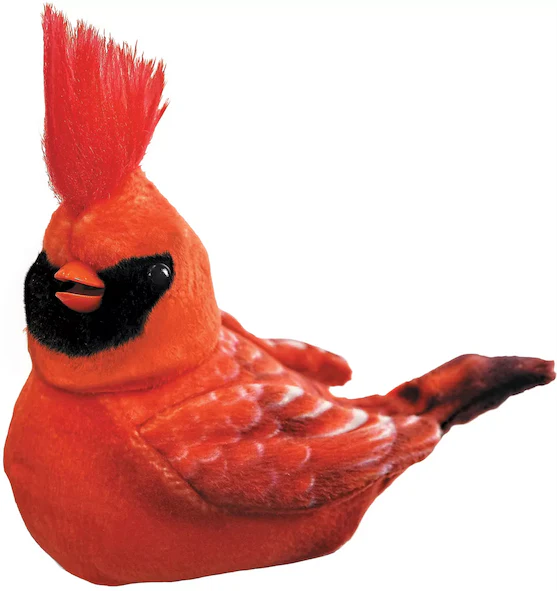 Vorschaubild 2