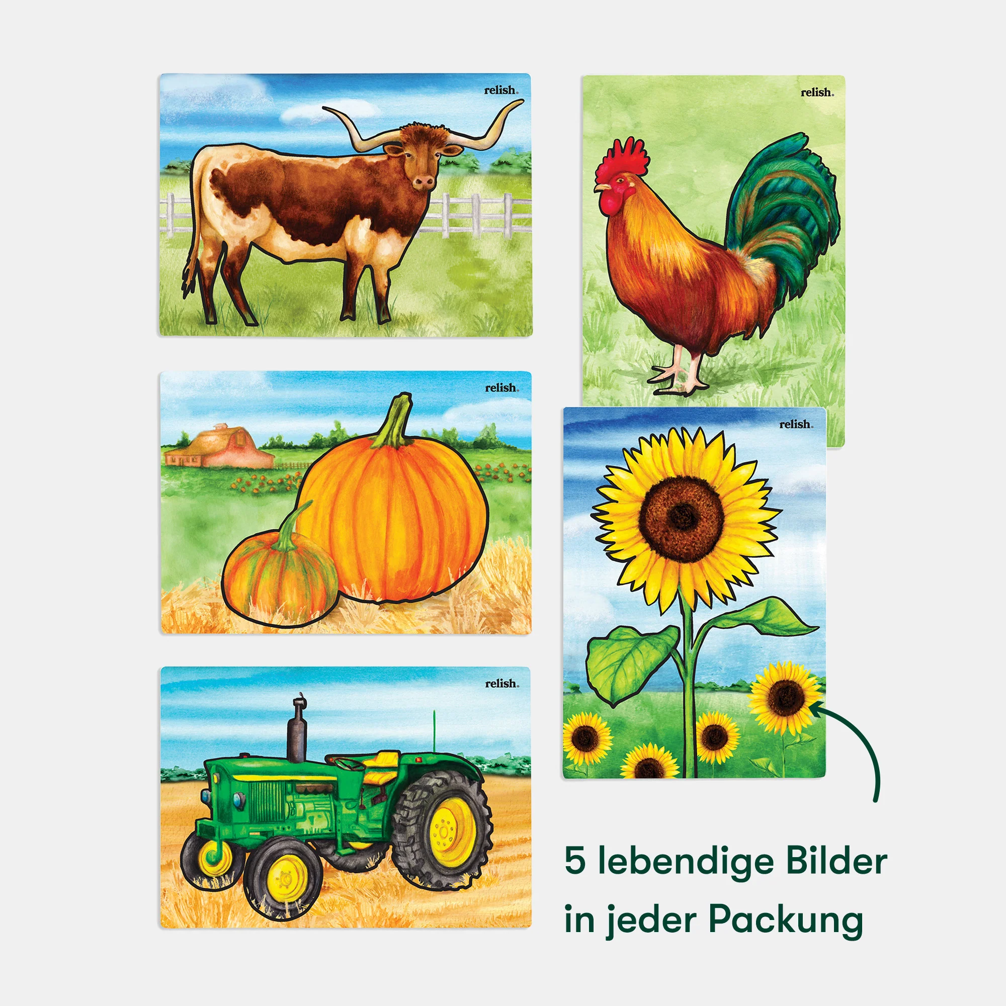 Malen mit Wasser: „Bauernhof“, 5 wiederverwendbare Vorlagen, Aquapaint™ „Farm Memories" - Image 4
