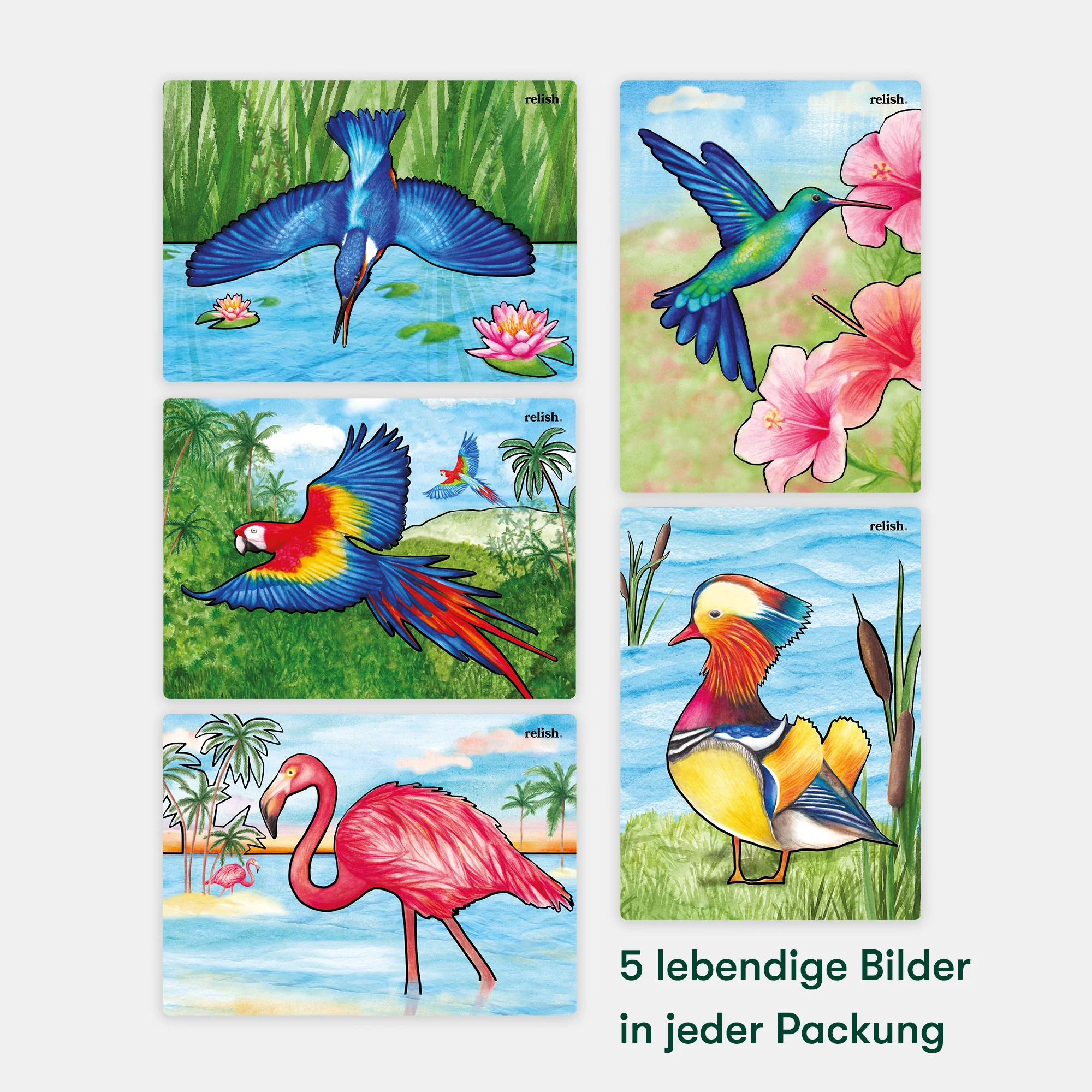 Malen mit Wasser: „Prächtige Vögel“, 5 wiederverwendbare Vorlagen, Aquapaint™ „Magnificient Birds" - Image 4