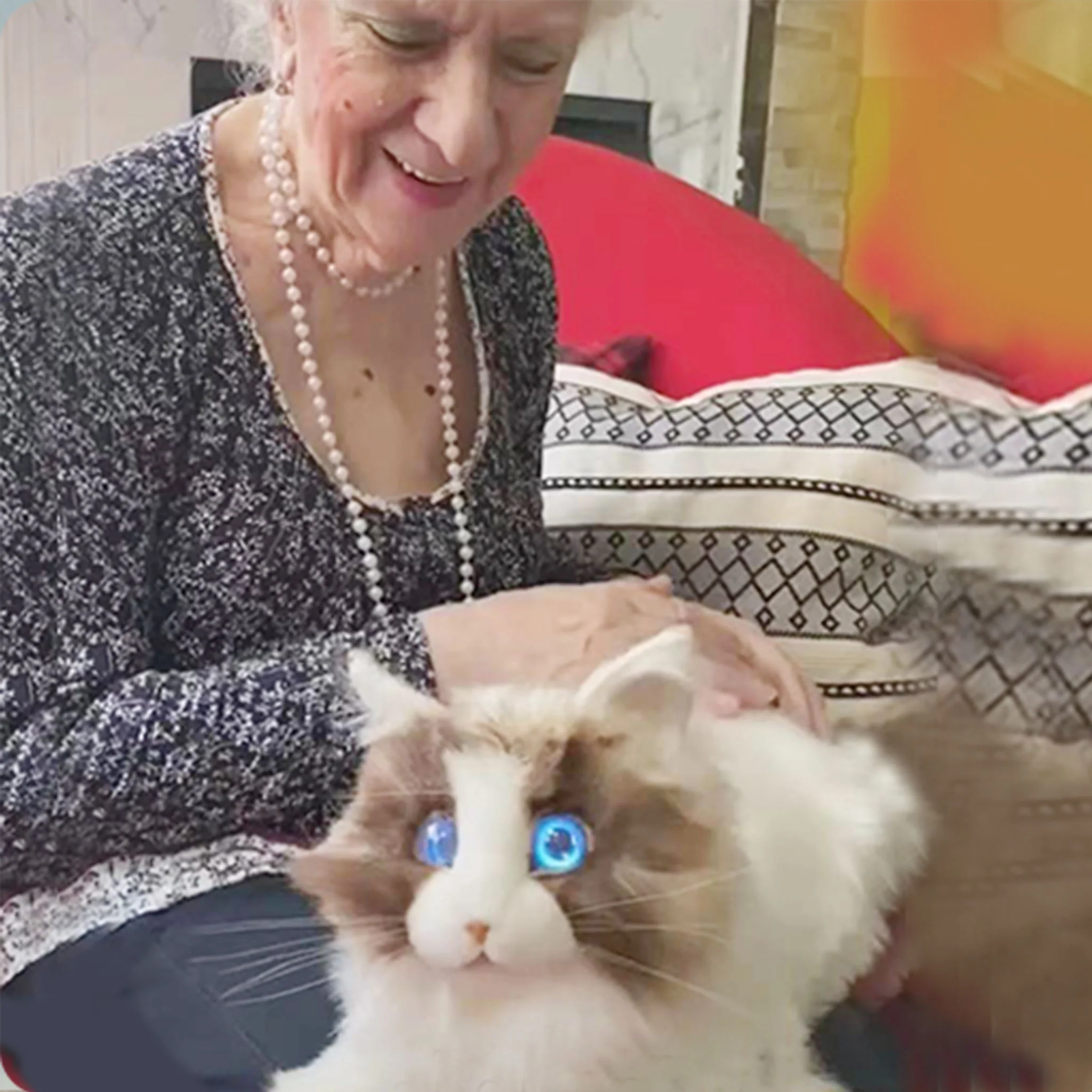 metaCat – Interaktive Roboter-Katze "Ragdoll" für Senioren und Menschen mit Demenz, wiederaufladbare Batterie - Image 4