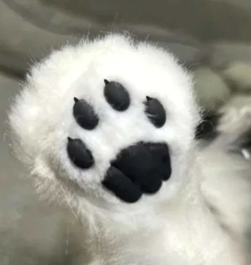 metaDog - Interaktiver Roboter-Hund „Husky“ für Senioren und Menschen mit Demenz, Akkubetrieben - Image 5