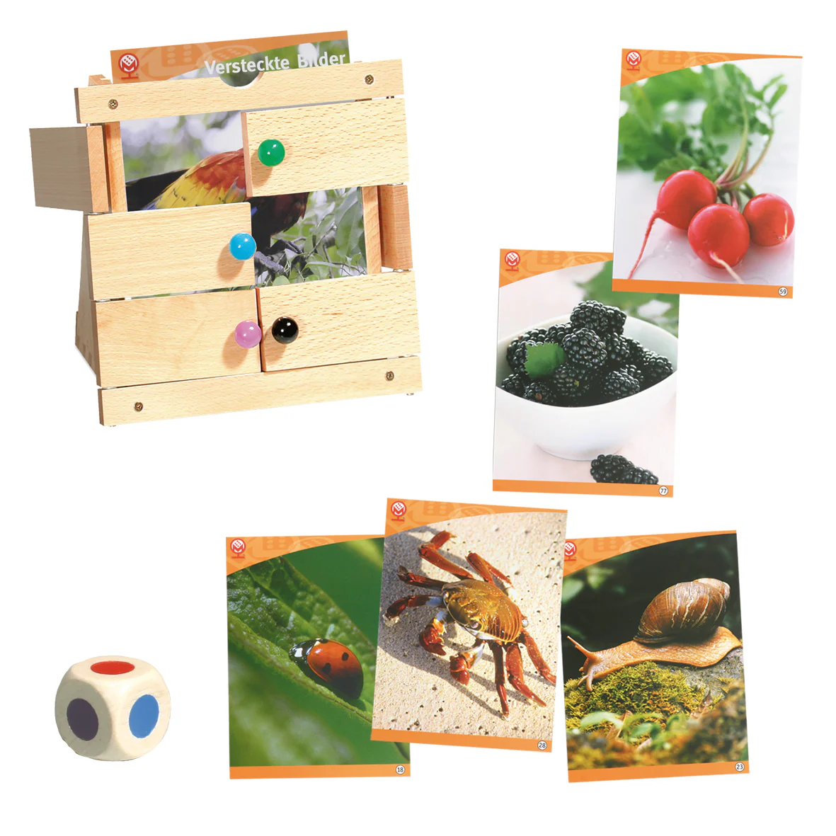 Ratespiel „Versteckte Bilder“ – Naturfotos - Image 2
