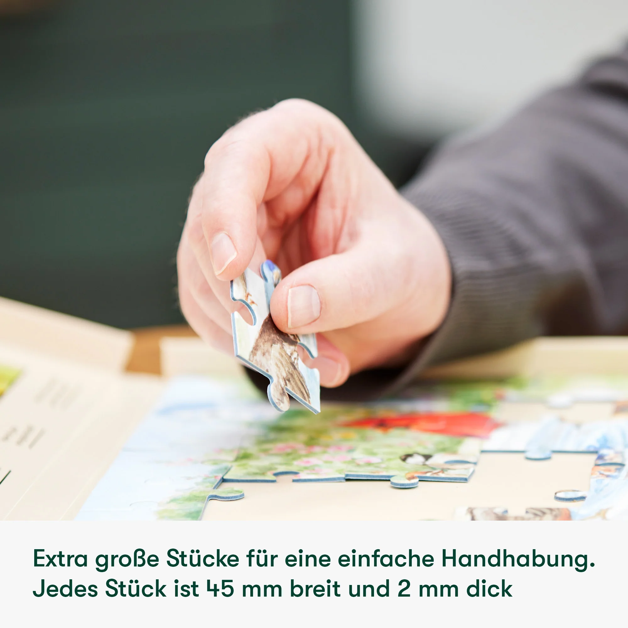Senioren Puzzle „Frühlings Picknick“, 35 Teile, Puzzle für Menschen mit Demenz, 31x22 cm - Image 6